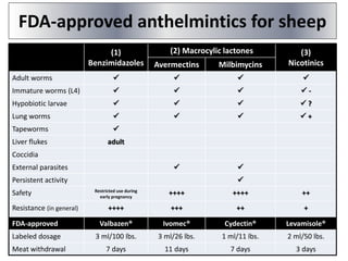 (1)
Benzimidazoles
(2) Macrocylic lactones (3)
NicotinicsAvermectins Milbimycins
Adult worms    
Immature worms (L4)     -
Hypobiotic larvae     ?
Lung worms     +
Tapeworms 
Liver flukes adult
Coccidia
External parasites  
Persistent activity 
Safety Restricted use during
early pregnancy
++++ ++++ ++
Resistance (in general) ++++ +++ ++ +
FDA-approved Valbazen® Ivomec® Cydectin® Levamisole®
Labeled dosage 3 ml/100 lbs. 3 ml/26 lbs. 1 ml/11 lbs. 2 ml/50 lbs.
Meat withdrawal 7 days 11 days 7 days 3 days
FDA-approved anthelmintics for sheep
 