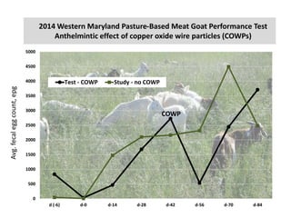 2014 Western Maryland Pasture-Based Meat Goat Performance Test
Anthelmintic effect of copper oxide wire particles (COWPs)
0
500
1000
1500
2000
2500
3000
3500
4000
4500
5000
d (-6) d-0 d-14 d-28 d-42 d-56 d-70 d-84
Test - COWP Study - no COWP
Avg.fecaleggcount,epg
COWP
 