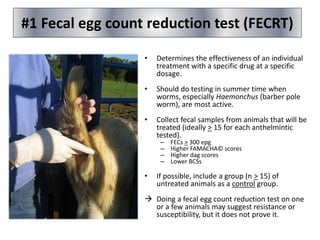 • Determines the effectiveness of an individual
treatment with a specific drug at a specific
dosage.
• Should do testing in summer time when
worms, especially Haemonchus (barber pole
worm), are most active.
• Collect fecal samples from animals that will be
treated (ideally > 15 for each anthelmintic
tested).
– FECs > 300 epg
– Higher FAMACHA© scores
– Higher dag scores
– Lower BCSs
• If possible, include a group (n > 15) of
untreated animals as a control group.
 Doing a fecal egg count reduction test on one
or a few animals may suggest resistance or
susceptibility, but it does not prove it.
#1 Fecal egg count reduction test (FECRT)
 
