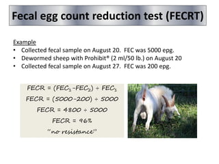 Fecal egg count reduction test (FECRT)
Example
• Collected fecal sample on August 20. FEC was 5000 epg.
• Dewormed sheep with Prohibit® (2 ml/50 lb.) on August 20
• Collected fecal sample on August 27. FEC was 200 epg.
FECR = (FEC1-FEC2) ÷ FEC1
FECR = (5000-200) ÷ 5000
FECR = 4800 ÷ 5000
FECR = 96%
“no resistance”
 