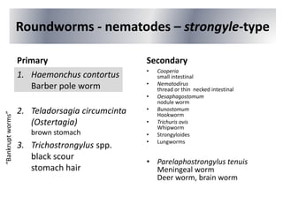 Roundworms - nematodes – strongyle-type
Primary
1. Haemonchus contortus
Barber pole worm
2. Teladorsagia circumcinta
(Ostertagia)
brown stomach
3. Trichostrongylus spp.
black scour
stomach hair
Secondary
• Cooperia
small intestinal
• Nematodirus
thread or thin necked intestinal
• Oesaphagostomum
nodule worm
• Bunostomum
Hookworm
• Trichuris ovis
Whipworm
• Strongyloides
• Lungworms
• Parelaphostrongylus tenuis
Meningeal worm
Deer worm, brain worm
“Bankruptworms”
 