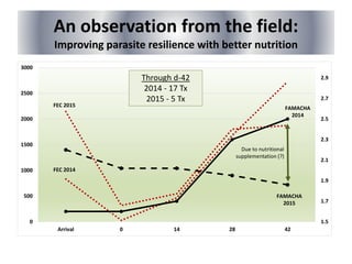 An observation from the field:
Improving parasite resilience with better nutrition
1.5
1.7
1.9
2.1
2.3
2.5
2.7
2.9
0
500
1000
1500
2000
2500
3000
Arrival 0 14 28 42
FEC 2015
FEC 2014
FAMACHA
2015
FAMACHA
2014
Through d-42
2014 - 17 Tx
2015 - 5 Tx
Due to nutritional
supplementation (?)
 