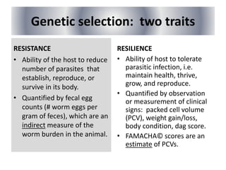 Genetic selection: two traits
RESISTANCE
• Ability of the host to reduce
number of parasites that
establish, reproduce, or
survive in its body.
• Quantified by fecal egg
counts (# worm eggs per
gram of feces), which are an
indirect measure of the
worm burden in the animal.
RESILIENCE
• Ability of host to tolerate
parasitic infection, i.e.
maintain health, thrive,
grow, and reproduce.
• Quantified by observation
or measurement of clinical
signs: packed cell volume
(PCV), weight gain/loss,
body condition, dag score.
• FAMACHA© scores are an
estimate of PCVs.
 