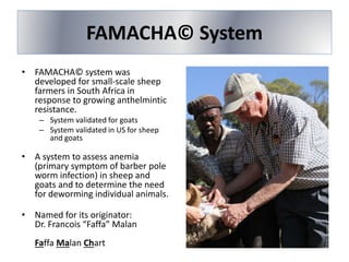 FAMACHA© System
• FAMACHA© system was
developed for small-scale sheep
farmers in South Africa in
response to growing anthelmintic
resistance.
– System validated for goats
– System validated in US for sheep
and goats
• A system to assess anemia
(primary symptom of barber pole
worm infection) in sheep and
goats and to determine the need
for deworming individual animals.
• Named for its originator:
Dr. Francois “Faffa” Malan
Faffa Malan Chart
 