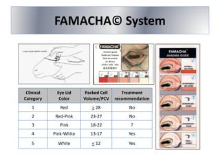 FAMACHA© System
Clinical
Category
Eye Lid
Color
Packed Cell
Volume/PCV
Treatment
recommendation
1 Red > 28 No
2 Red-Pink 23-27 No
3 Pink 18-22 ?
4 Pink-White 13-17 Yes
5 White < 12 Yes
 
