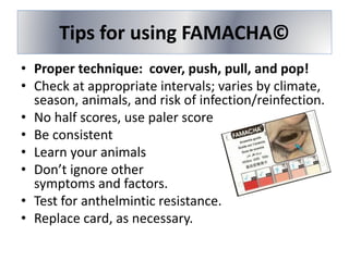 Tips for using FAMACHA©
• Proper technique: cover, push, pull, and pop!
• Check at appropriate intervals; varies by climate,
season, animals, and risk of infection/reinfection.
• No half scores, use paler score
• Be consistent
• Learn your animals
• Don’t ignore other
symptoms and factors.
• Test for anthelmintic resistance.
• Replace card, as necessary.
 