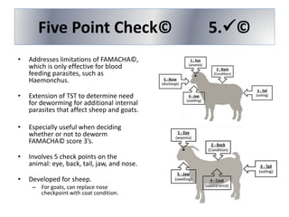Five Point Check© 5.©
• Addresses limitations of FAMACHA©,
which is only effective for blood
feeding parasites, such as
Haemonchus.
• Extension of TST to determine need
for deworming for additional internal
parasites that affect sheep and goats.
• Especially useful when deciding
whether or not to deworm
FAMACHA© score 3’s.
• Involves 5 check points on the
animal: eye, back, tail, jaw, and nose.
• Developed for sheep.
– For goats, can replace nose
checkpoint with coat condition.
 