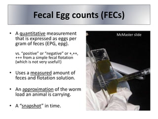 Fecal Egg counts (FECs)
• A quantitative measurement
that is expressed as eggs per
gram of feces (EPG, epg).
vs. “positive” or “negative” or +,++,
+++ from a simple fecal flotation
(which is not very useful!)
• Uses a measured amount of
feces and flotation solution.
• An approximation of the worm
load an animal is carrying.
• A “snapshot” in time.
McMaster slide
 