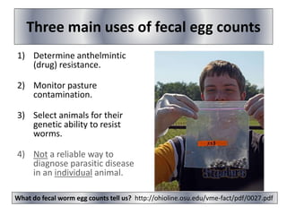 Three main uses of fecal egg counts
1) Determine anthelmintic
(drug) resistance.
2) Monitor pasture
contamination.
3) Select animals for their
genetic ability to resist
worms.
4) Not a reliable way to
diagnose parasitic disease
in an individual animal.
What do fecal worm egg counts tell us? http://ohioline.osu.edu/vme-fact/pdf/0027.pdf
 