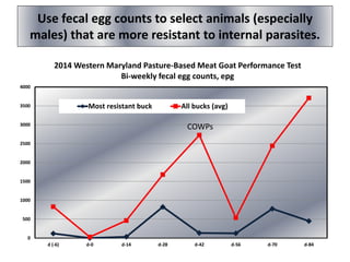 Use fecal egg counts to select animals (especially
males) that are more resistant to internal parasites.
0
500
1000
1500
2000
2500
3000
3500
4000
d (-6) d-0 d-14 d-28 d-42 d-56 d-70 d-84
2014 Western Maryland Pasture-Based Meat Goat Performance Test
Bi-weekly fecal egg counts, epg
Most resistant buck All bucks (avg)
COWPs
 