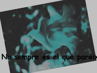 No sempre és el que pareix 