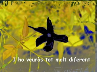I ho veuràs tot molt diferent 