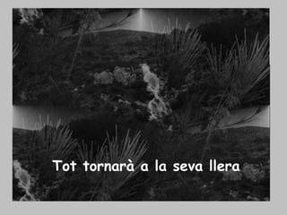 Tot tornarà a la seva llera 