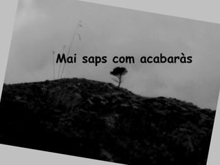 Mai saps com acabaràs 