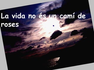 La vida no és un camí de roses 