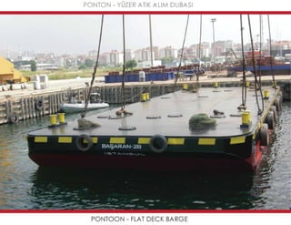 Mavideniz deniz süpürgeleri