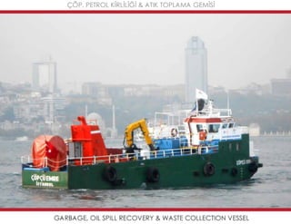 Mavideniz deniz süpürgeleri