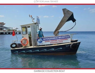 Mavideniz deniz süpürgeleri