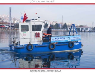 Mavideniz deniz süpürgeleri