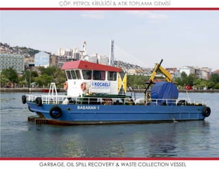 Mavideniz deniz süpürgeleri