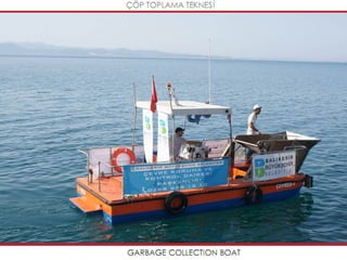 Mavideniz deniz süpürgeleri