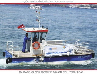 Mavideniz deniz süpürgeleri