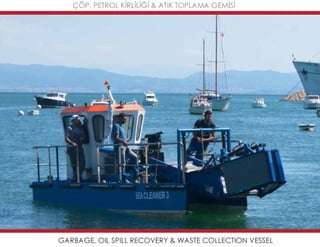 Mavideniz deniz süpürgeleri