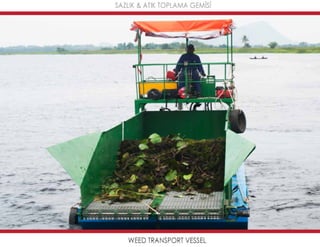 Mavideniz deniz süpürgeleri