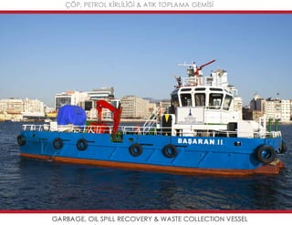 Mavideniz deniz süpürgeleri