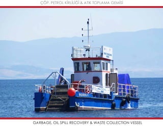 Mavideniz deniz süpürgeleri