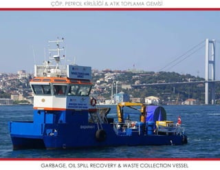 Mavideniz deniz süpürgeleri