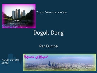 Dogok Dong Par Eunice Tower Palace-ma maison vue de ciel des Dogok 