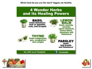 Which herb do you use the most? Veggies are Healthy
 