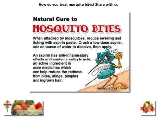 How do you treat mosquito bites? Share with us!
 