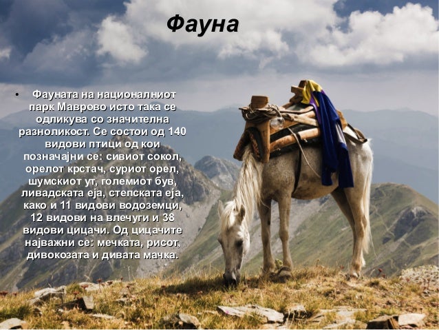 Национален Парк Маврово