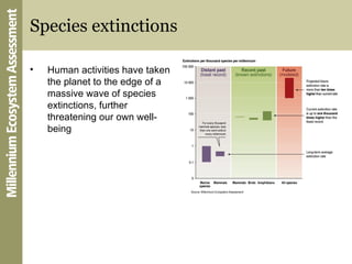 Species extinctions <ul><li>Human activities have taken the planet to the edge of a massive wave of species extinctions, f...