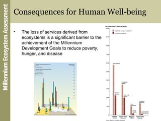 Consequences for Human Well-being <ul><li>The loss of services derived from ecosystems is a significant barrier to the ach...