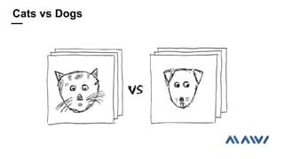 Cats vs Dogs
 