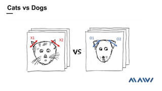 Cats vs Dogs
 