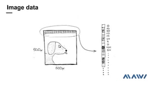 Image data
 