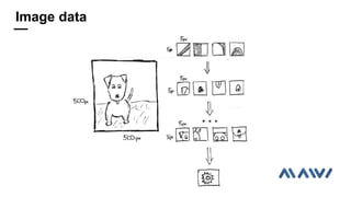 Image data
 