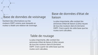 Base de données de voisinage
Contient des informations sur les
routeurs OSPF voisins avec lesquels un
routeur a établi une relation de voisinage.
La plus importante, elle contient les
annonces d'état de liaison (LSAs) reçues
de tous les routeurs dans le domaine
OSPF. C'est à partir de cette base que les
routes sont calculées.
La plus importante, elle contient les
annonces d'état de liaison (LSAs) reçues
de tous les routeurs dans le domaine
OSPF. C'est à partir de cette base que les
routes sont calculées.
Base de données d'état de
liaison
Table de routage
 
