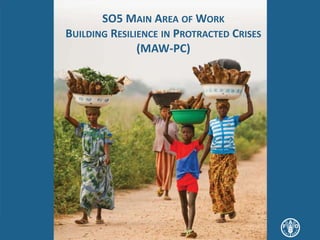 SO5 MAIN AREA OF WORK
BUILDING RESILIENCE IN PROTRACTED CRISES
(MAW-PC)
 