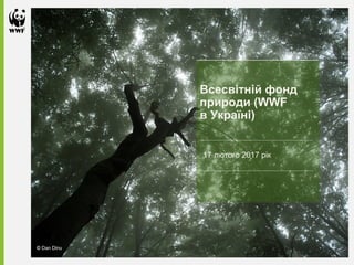 Всесвітній фонд
природи (WWF
в Україні)
© Dan Dinu
17 лютого 2017 рік
 