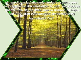   En medio de la calle de la ciudad y a uno y otro lado del río estaba el árbol de la vida, que produce doce frutos, dando cada mes su fruto, y las hojas del árbol eran para sanidad de las naciones Apocalipsis 22.2 