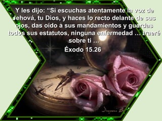   Y les dijo: “Si escuchas atentamente la voz de Jehová, tu Dios, y haces lo recto delante de sus ojos, das oído a sus mandamientos y guardas todos sus estatutos, ninguna enfermedad … traeré sobre ti … Éxodo 15.26 