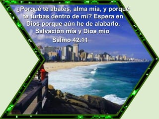   ¿Porqué te abates, alma mía, y porqué te turbas dentro de mí? Espera en Dios porque aún he de alabarlo. Salvación mía y Dios mío  Salmo 42.11 
