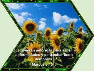   Que tuvieran autoridad para sanar enfermedades y para echar fuera demonios  Marcos 3.15 