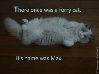 There once was a furry cat.
His name was Max.
5thAssignment–InesPereira.
 