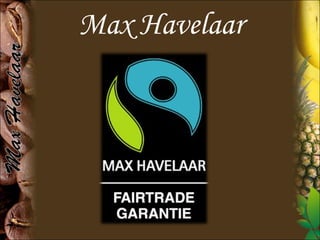 Max Havelaar 
